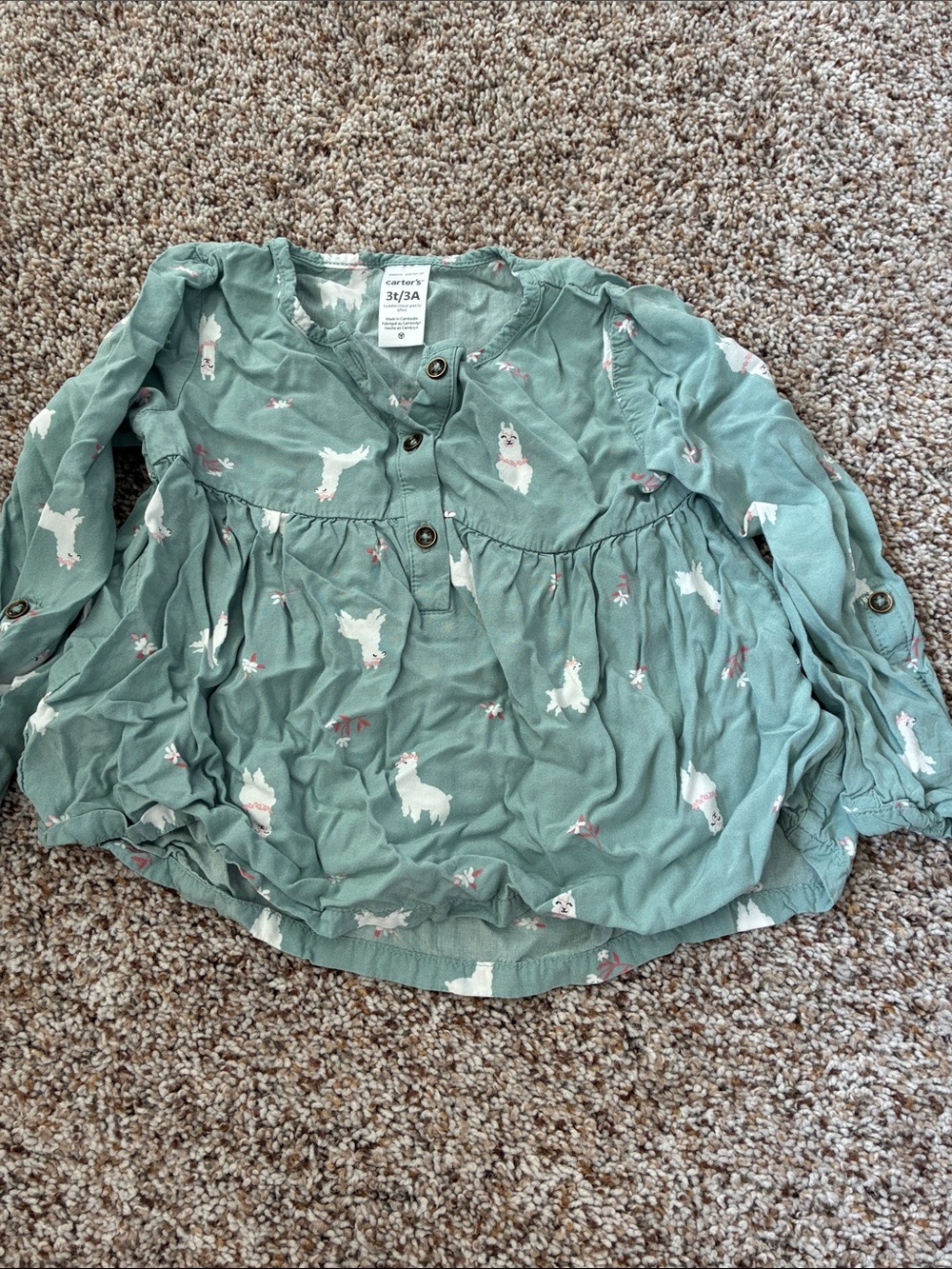 Carter's Sage Green Llama Print Long-Sleeve Blouse
